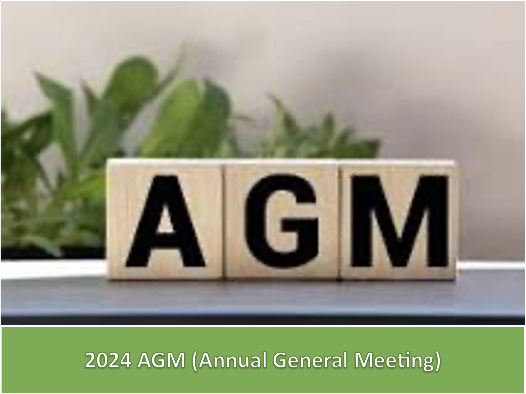 2024 AGM (Annual General Meeting)